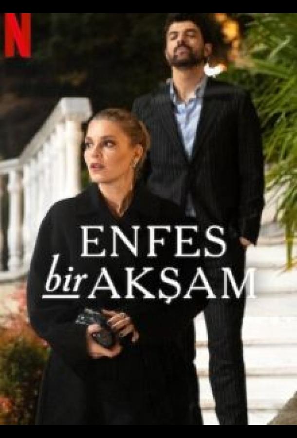 Восхитительный вечер (2025)