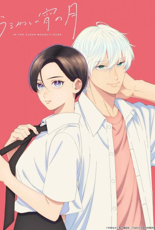 Прекрасная вечерняя луна (2026)